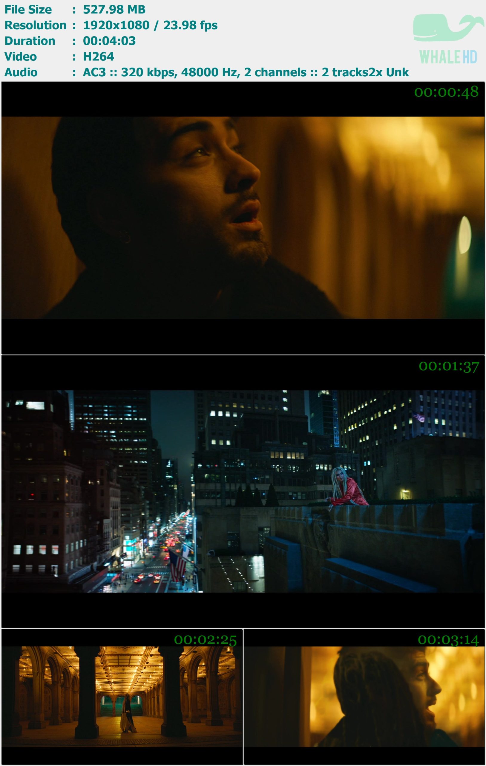 ZAYN, Zhavia Ward - A Whole New World 2019 BluRay 1080p H264 - 527.98MB