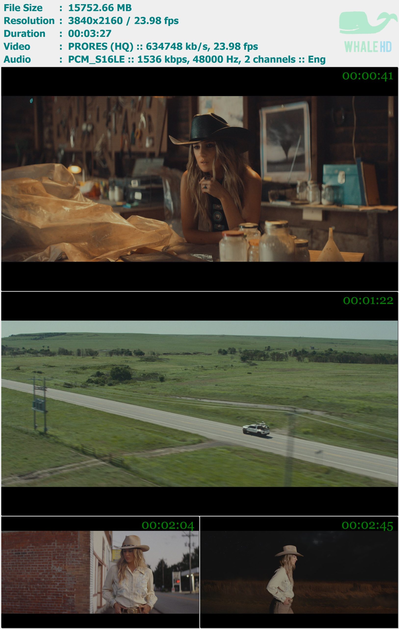 Lainey Wilson - Out of Oklahoma 2024 Master 2160p ProRes - 15.38GB