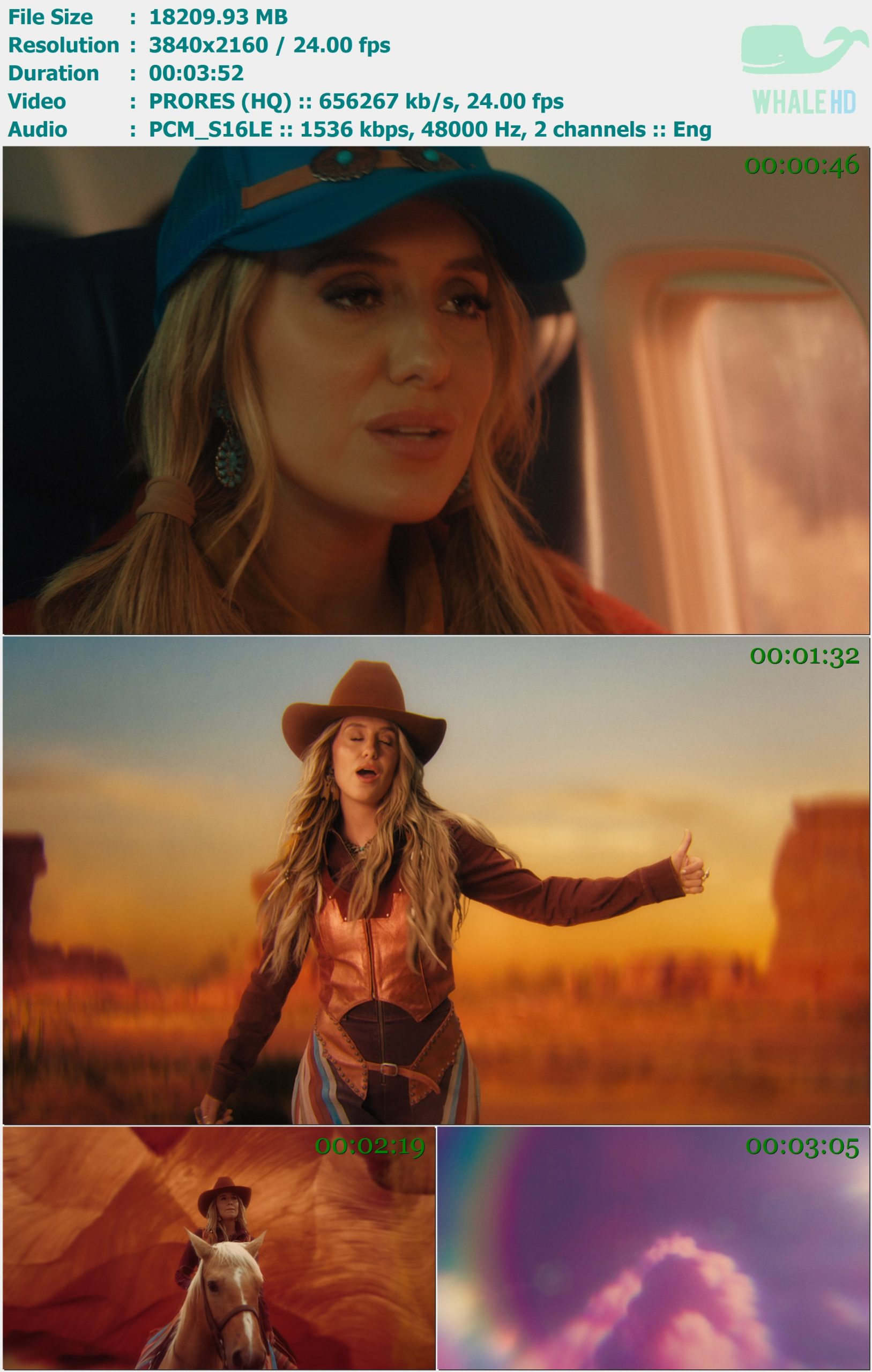 Lainey Wilson - Somewhere Over Laredo 2024 Master 2160p ProRes - 17.78GB