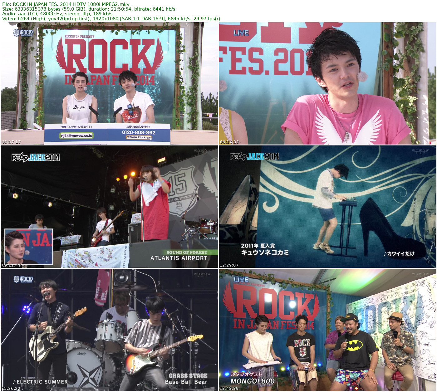 ROCK IN JAPAN FES. 2014 HDTV 1080i MPEG2 - 58.59GB+48.54GB
