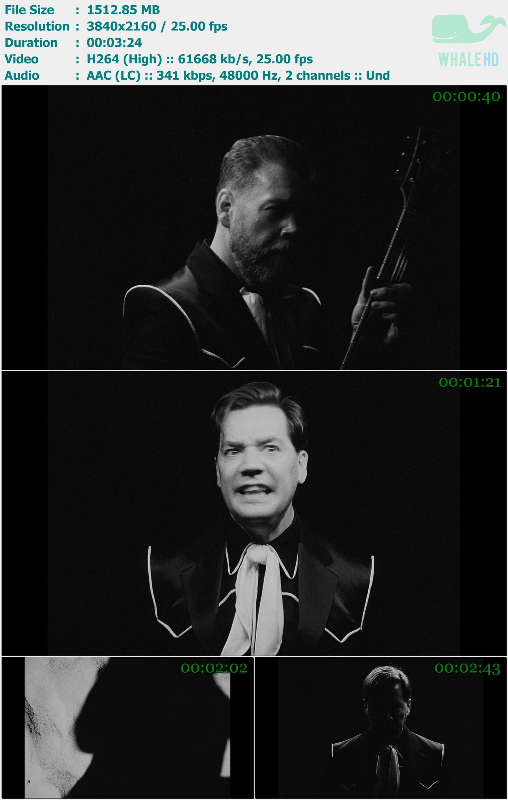 The Hives - Legalize Living 2025 MasterRip 2160p H264 - 1.48GB