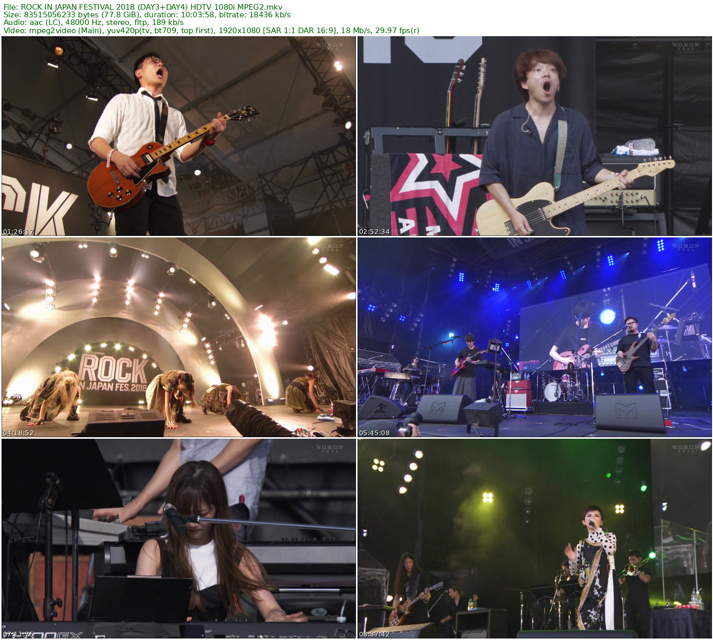 ROCK IN JAPAN FESTIVAL 2018 (DAY3+DAY4) HDTV 1080i MPEG2 - 77.78GB