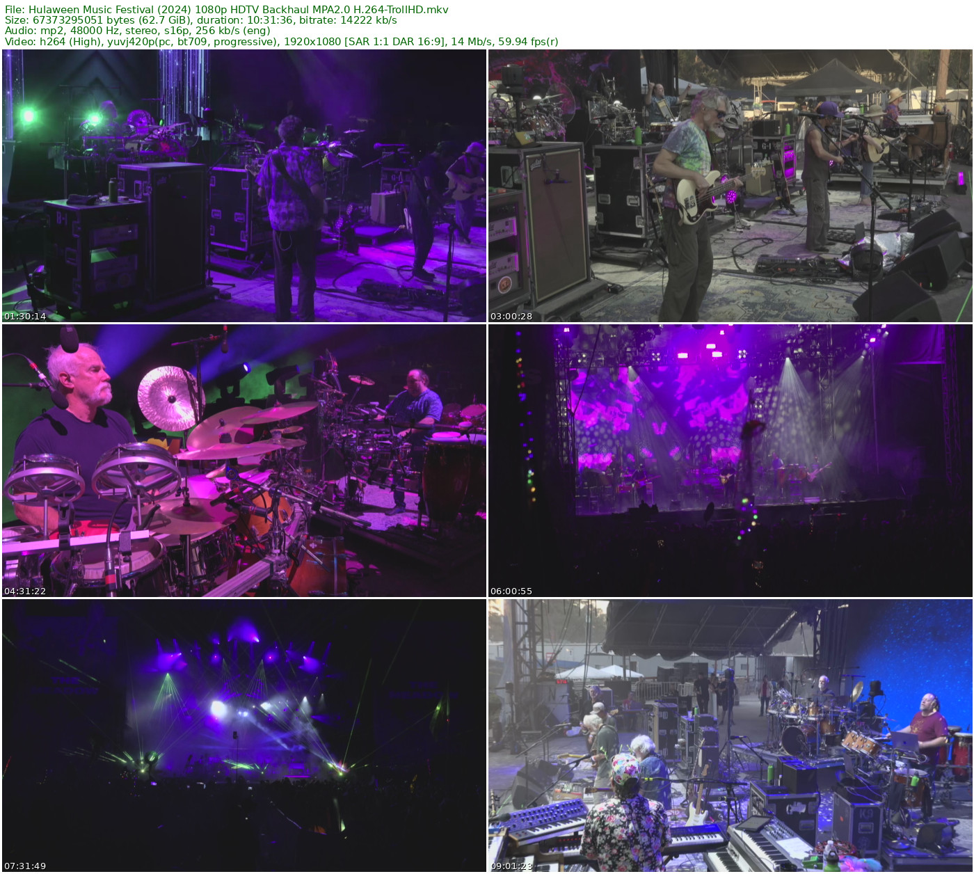 Hulaween Music Festival 2024 FEED 1080p H264-TrollHD - 62.75GB