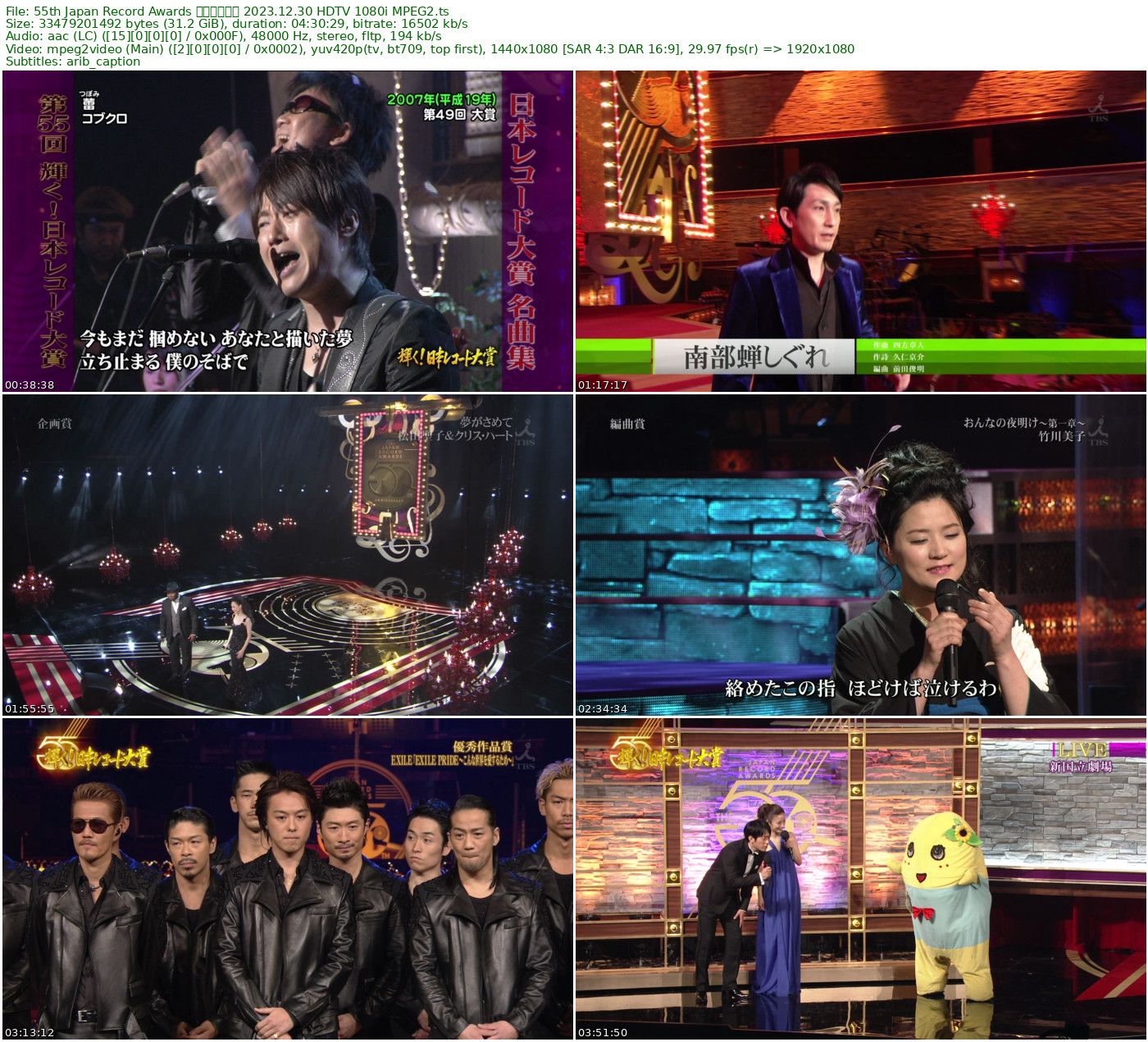 55th Japan Record Awards 日本唱片大奖 2013.12.30 HDTV 1080i MPEG2 - 31.18GB