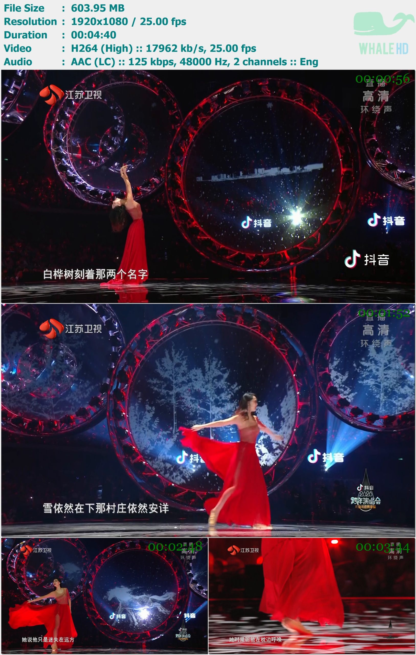 朴树 - 白桦林 (“用奋斗点亮幸福”抖音2020江苏卫视跨年演唱会) 2020 MasterRip 1080p H264 - 603.95MB