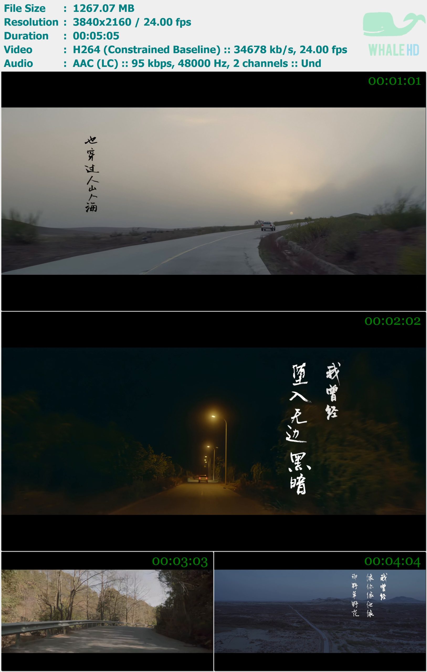 朴树 - 平凡之路 (《后会无期》电影主题曲) 2014 MasterRip 2160p H264 - 1.24GB