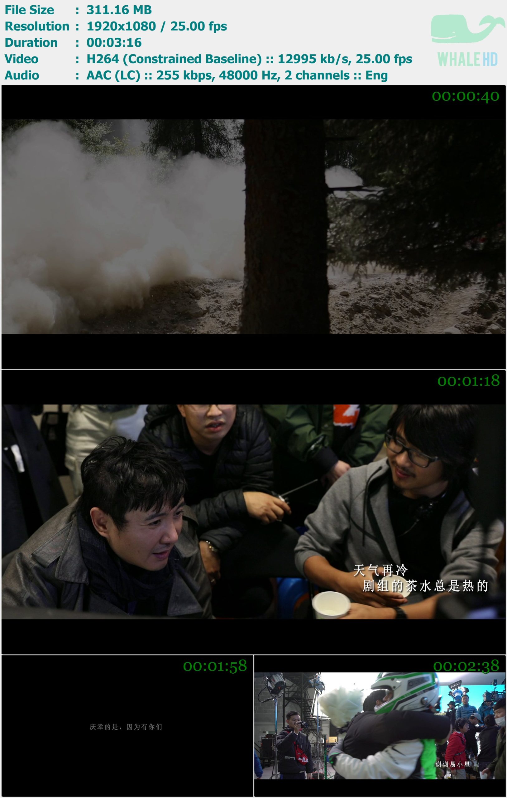 朴树 - 平凡之路 花絮版 2014 MasterRip 1080p H264 - 311.16MB