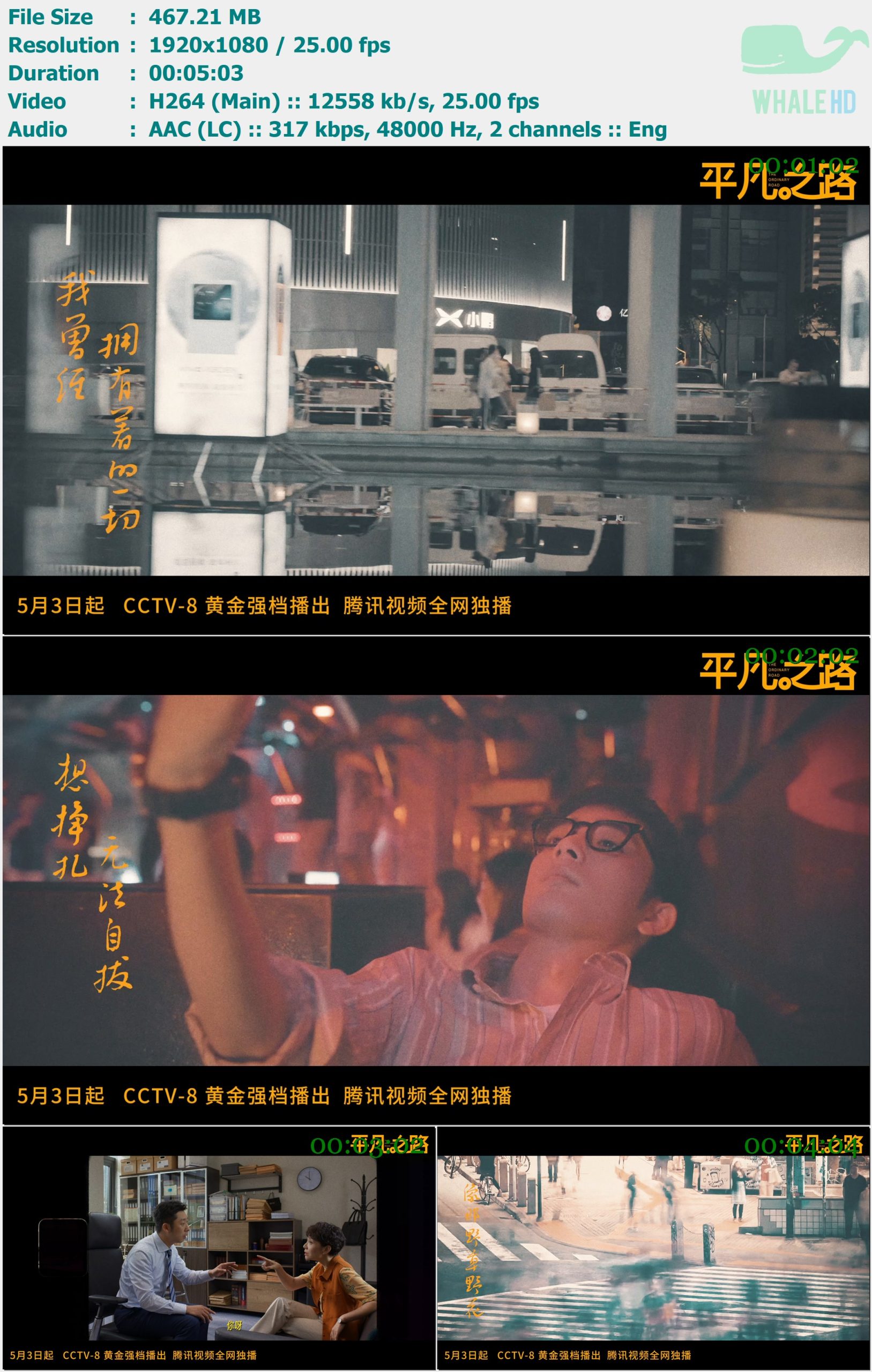 朴树 - 平凡之路 (职场剧《平凡之路》主题曲) 2023 MasterRip 1080p H264 - 467.21MB