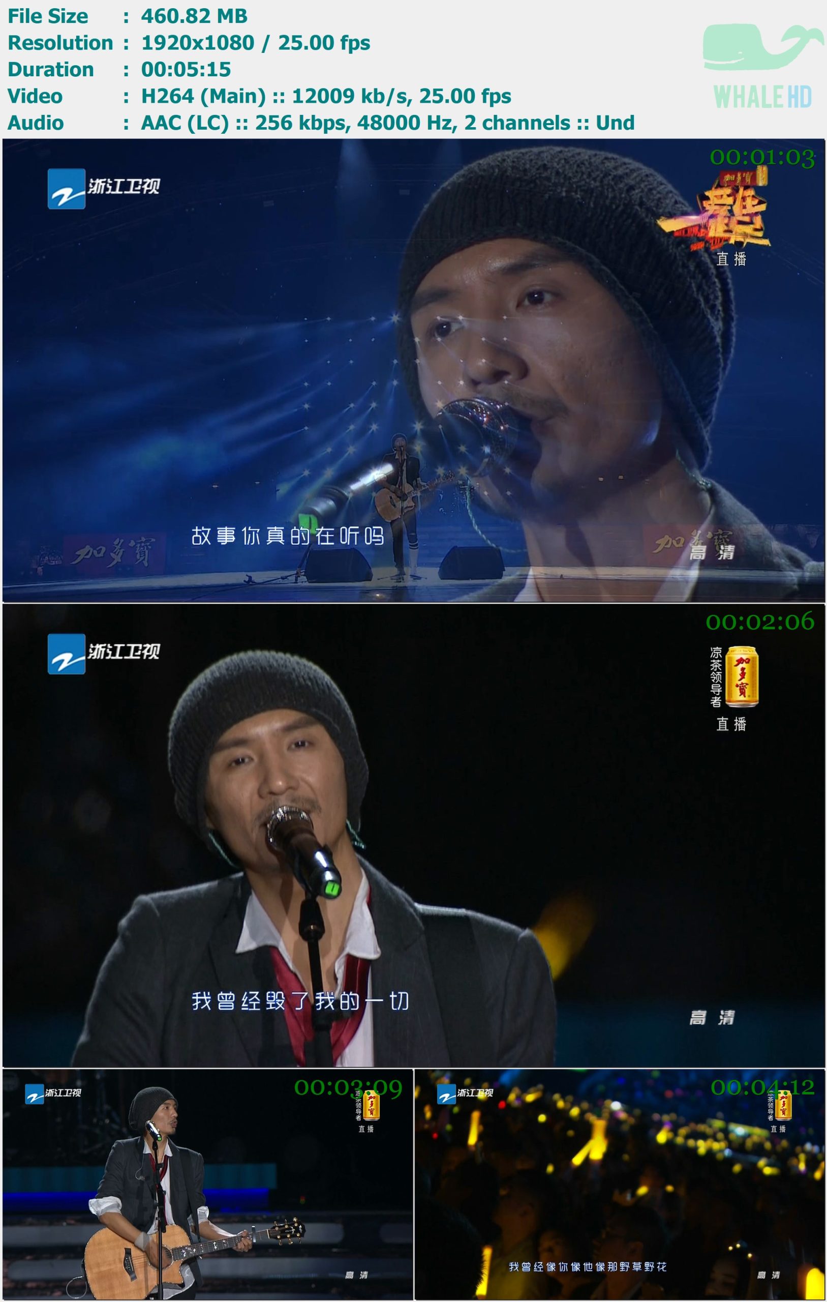 朴树 - 平凡之路 (浙江卫视领跑2017爱在一起演唱会) 2017 MasterRip 1080p H264 - 460.82MB