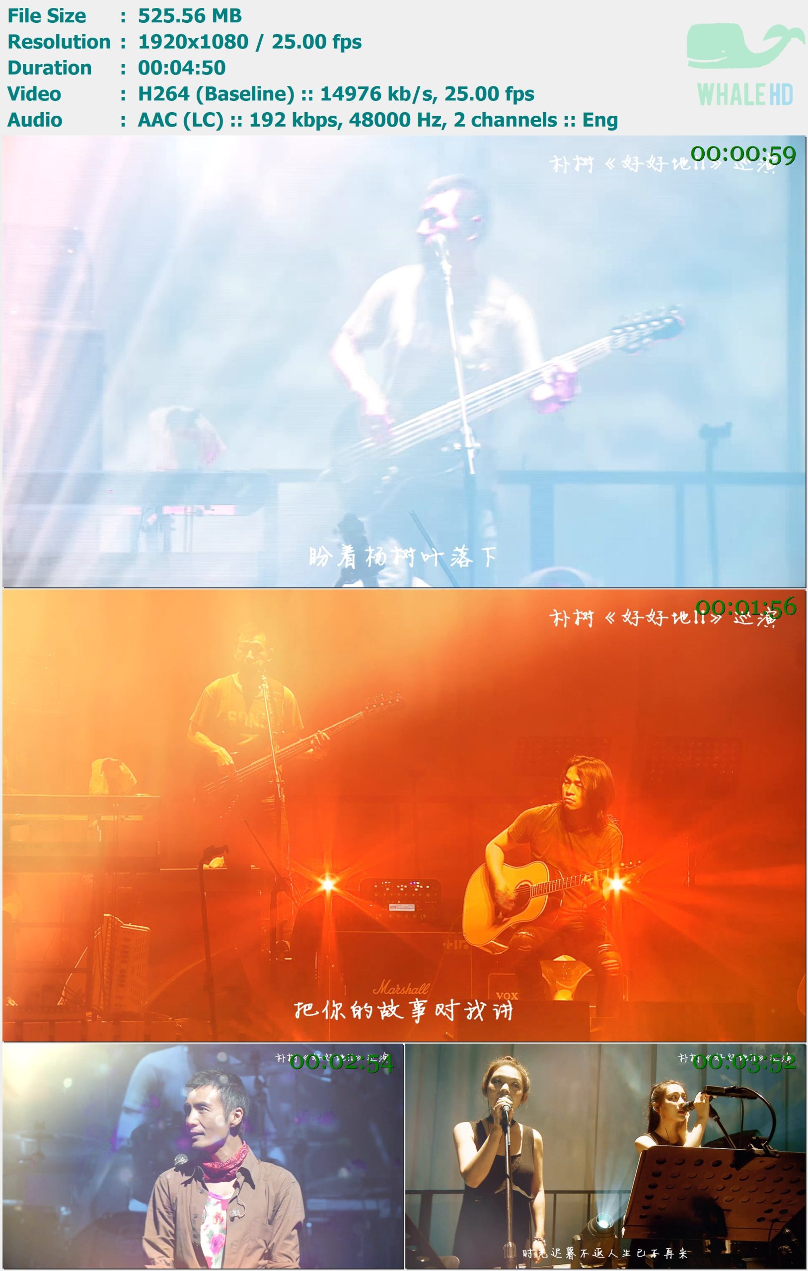 朴树 - 清白之年 (Live特别版MV) 2017 MasterRip 1080p H264 - 525.56MB