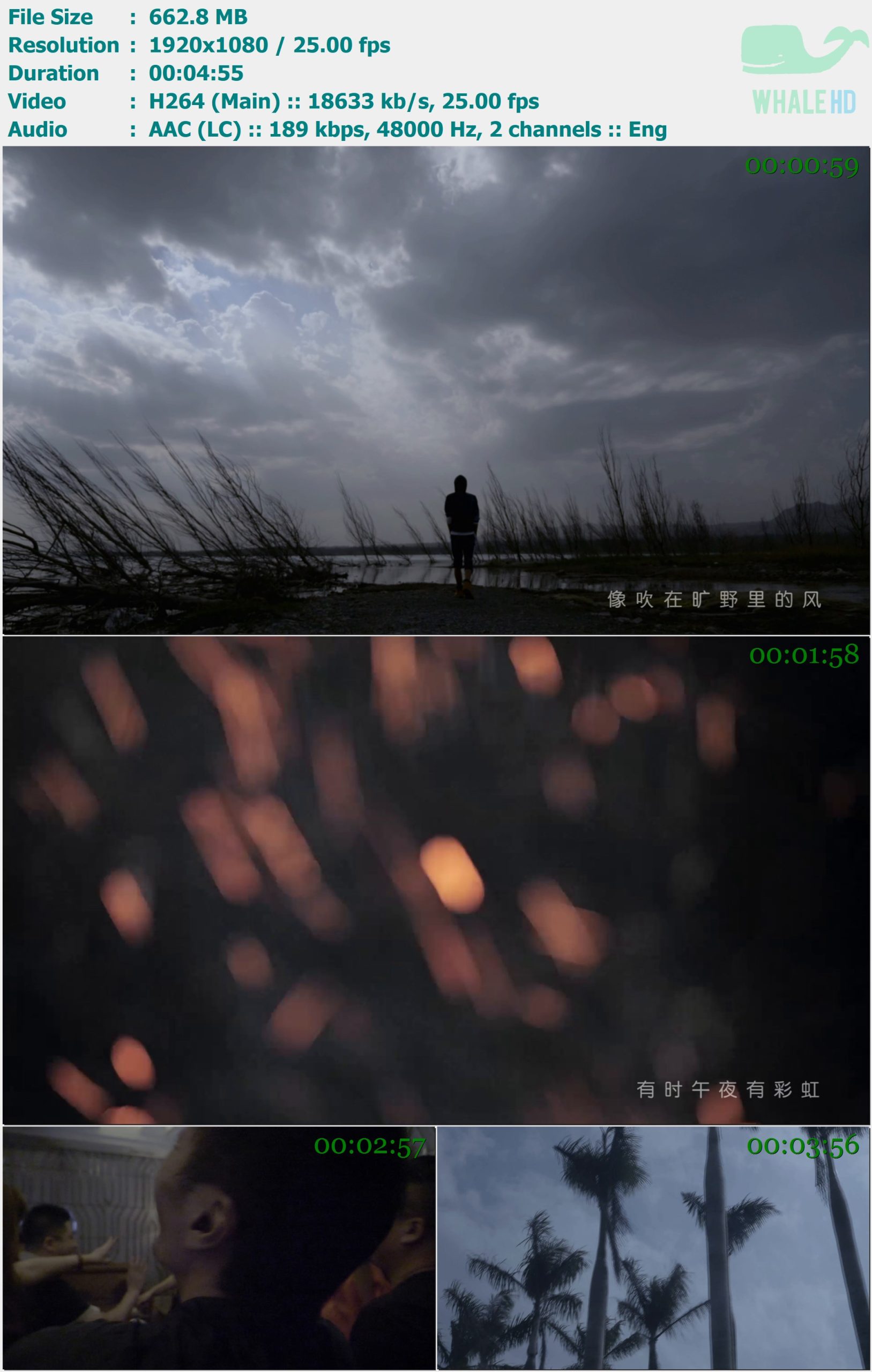朴树 - 猎户星座 2017 MasterRip 1080p H264 - 662.80MB