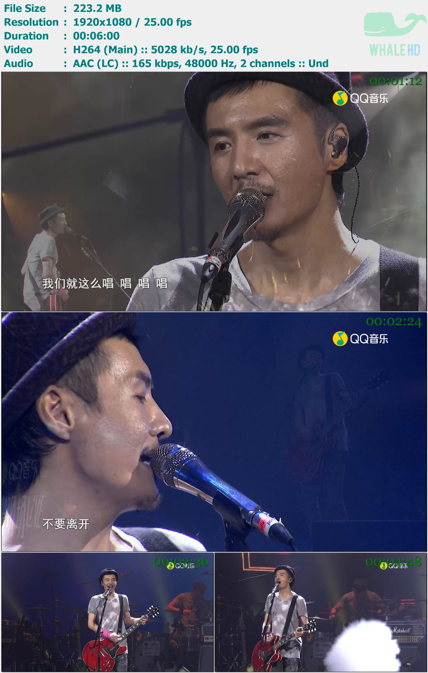朴树 - 在希望田 (朴树“QQ音乐×汤达人元气音乐节”大牌现场Live 2019) WEB-DL 1080p H264 - 223.20MB