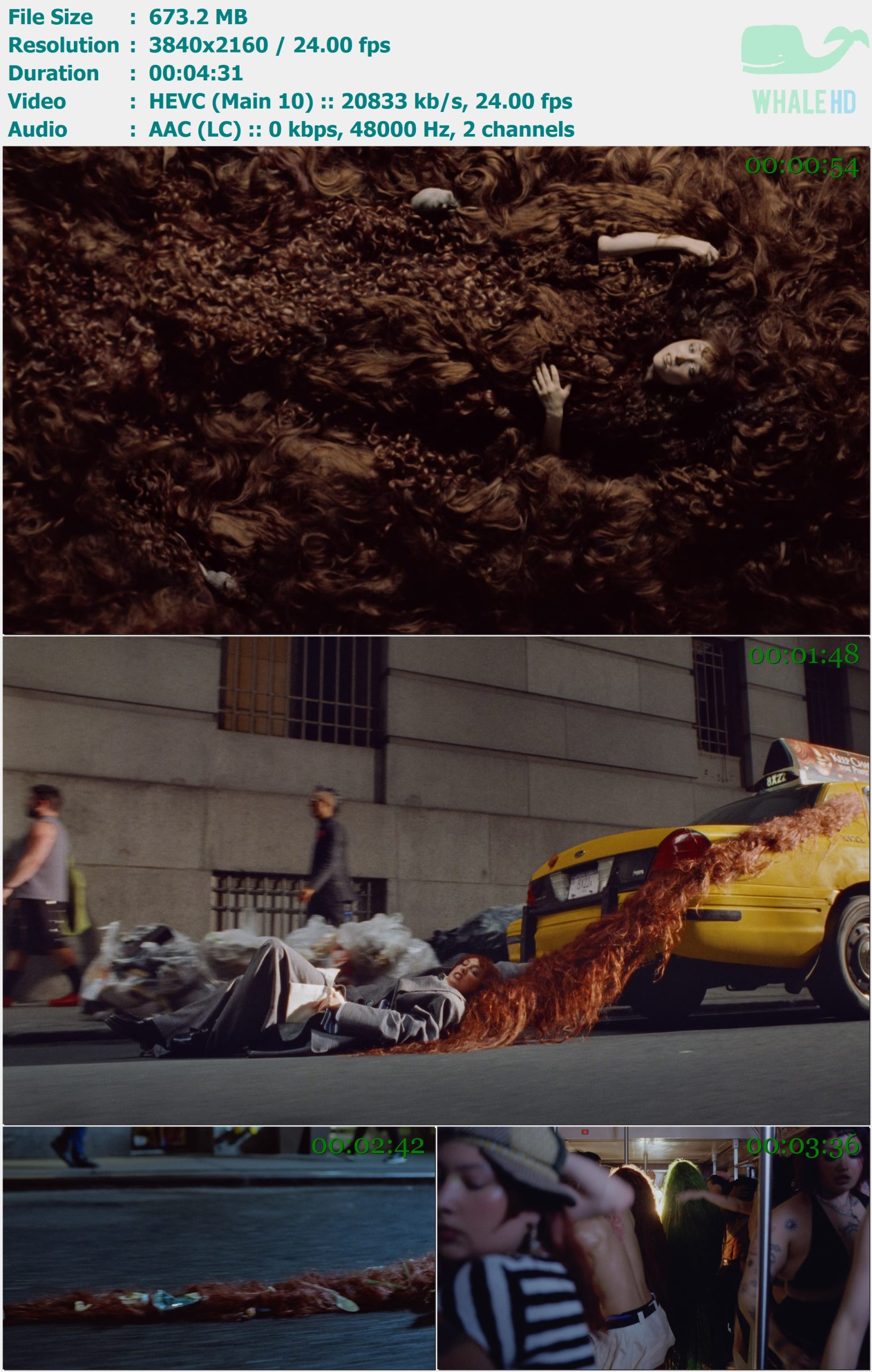 Chappell Roan - The Subway 2025 AM 2160p H265 - 673.20MB