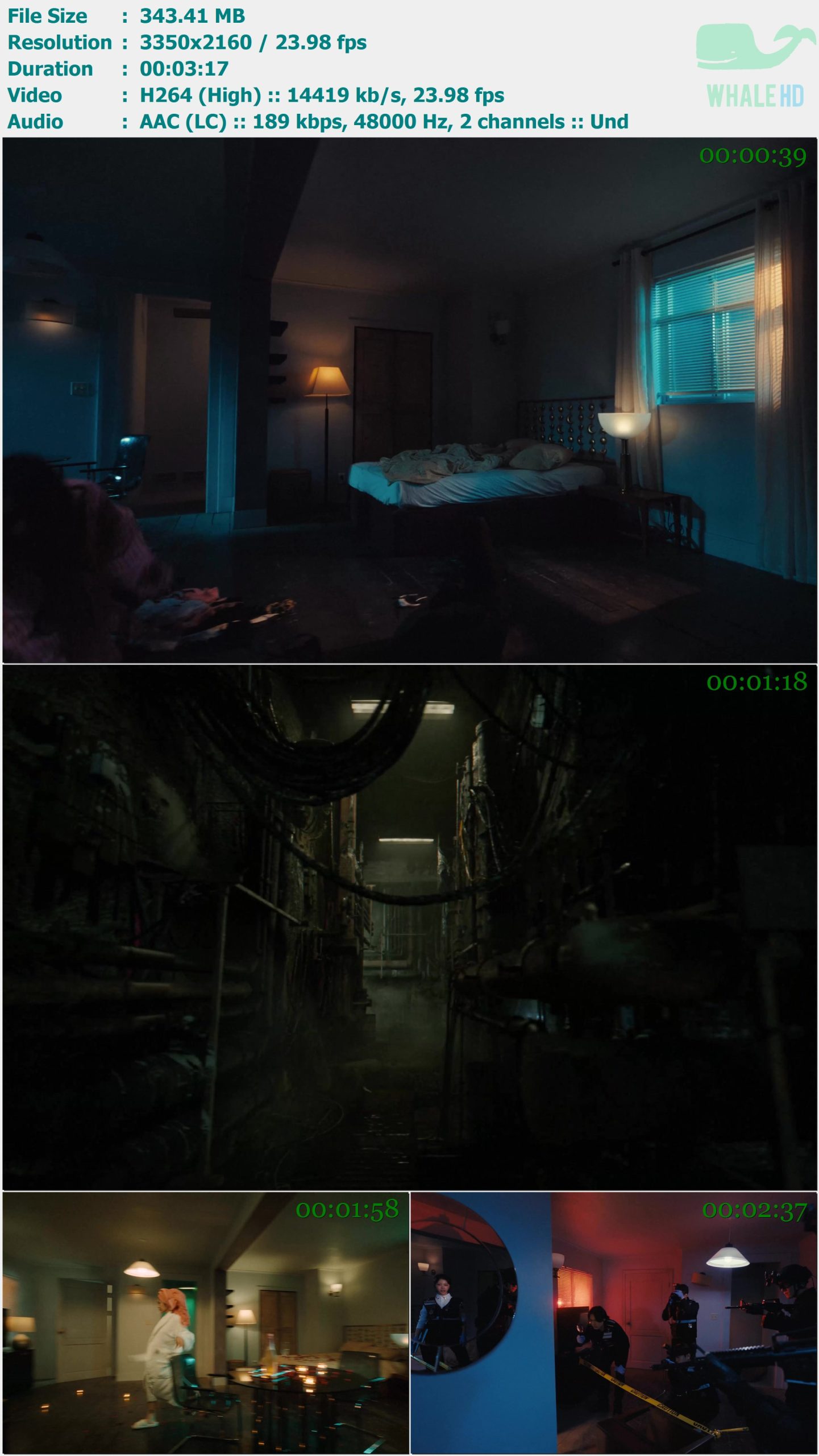 HEYOON - ADDICTED 2025 WEB-DL 2160p H264 - 343.41MB