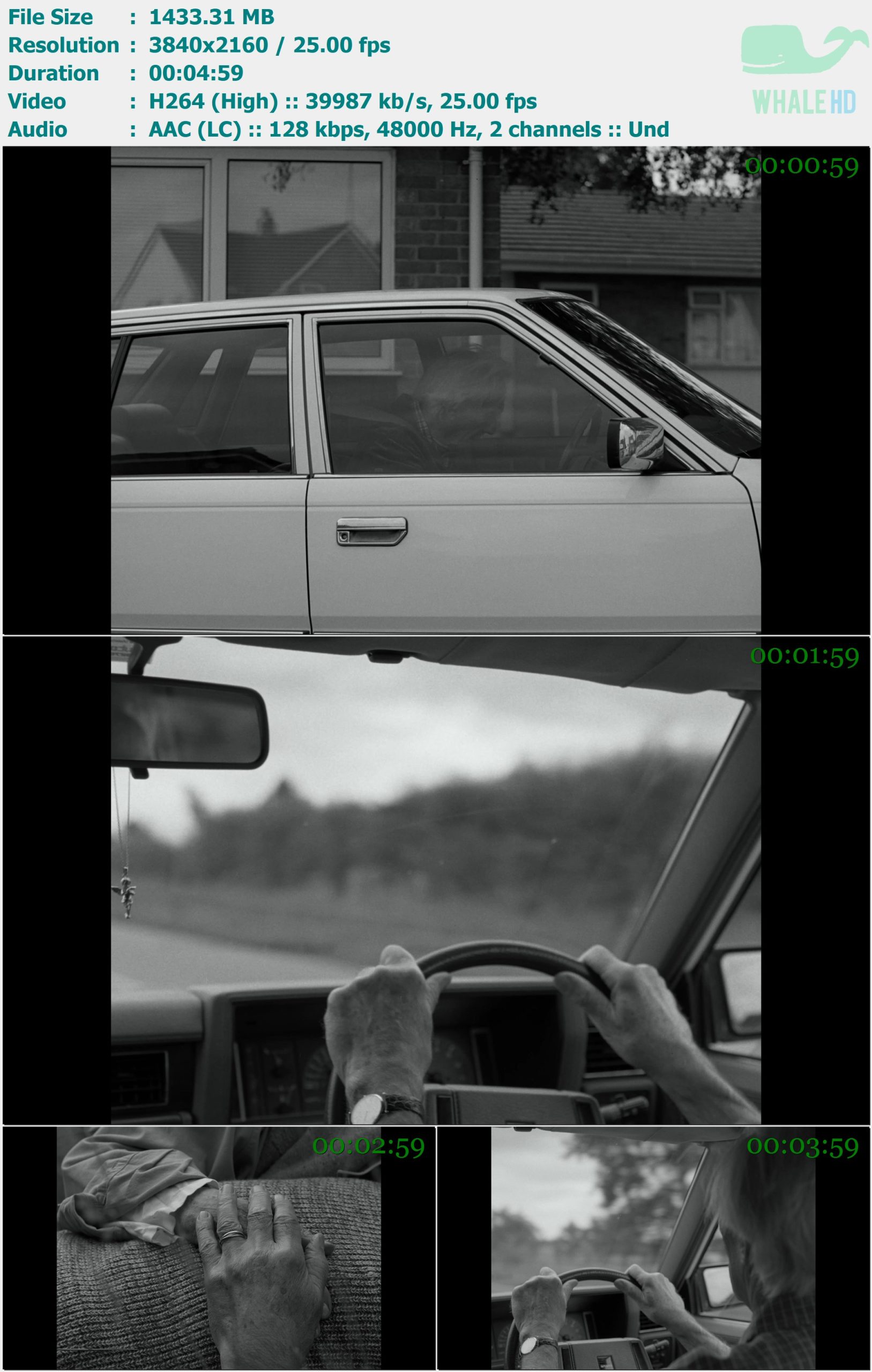 The Last Dinner Party - The Scythe 2025 MasterRip 2160p H264 - 1.40GB