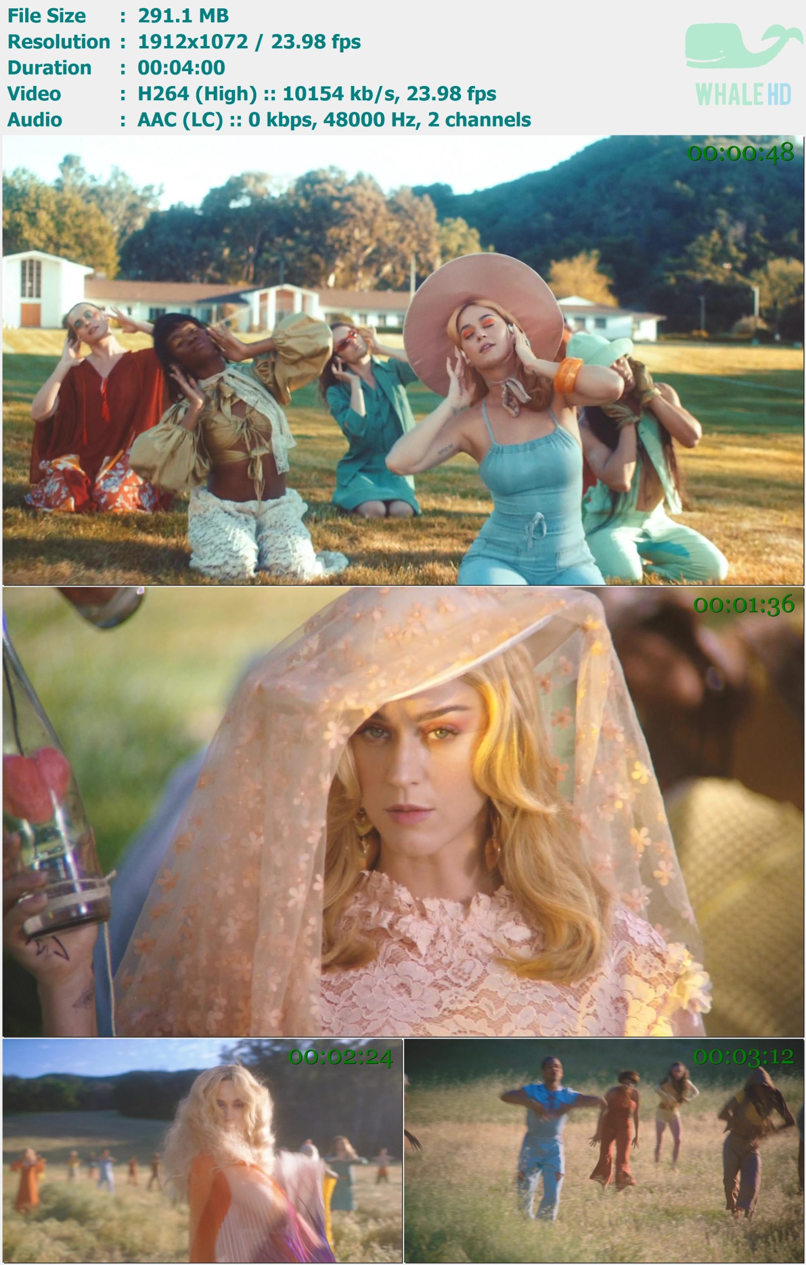Katy Perry - Never Really Over 2019 AM 1072p H264 - 291.10MB