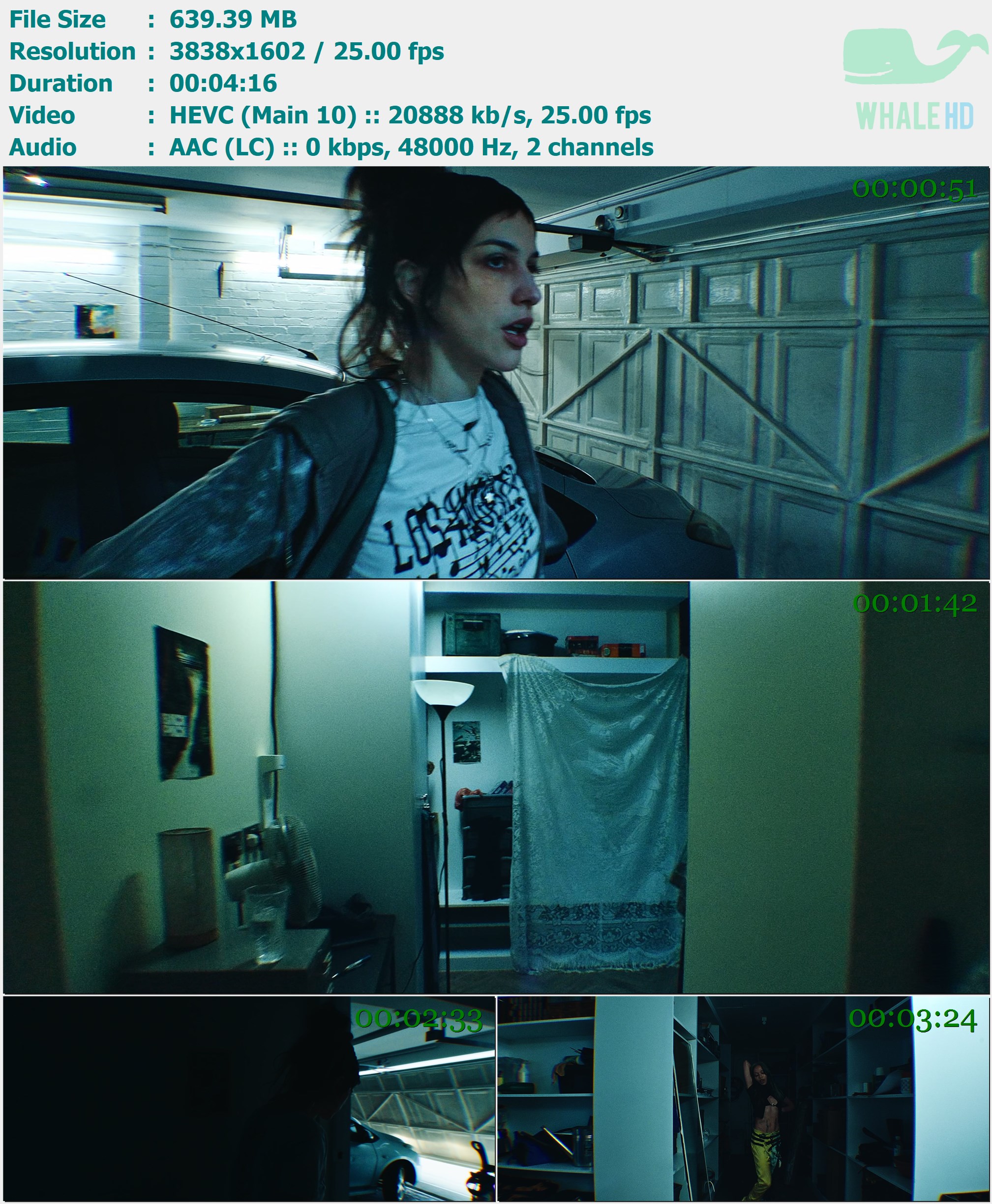 Oklou & FKA twigs - viscus 2025 AM 1602p H265 - 639.39MB