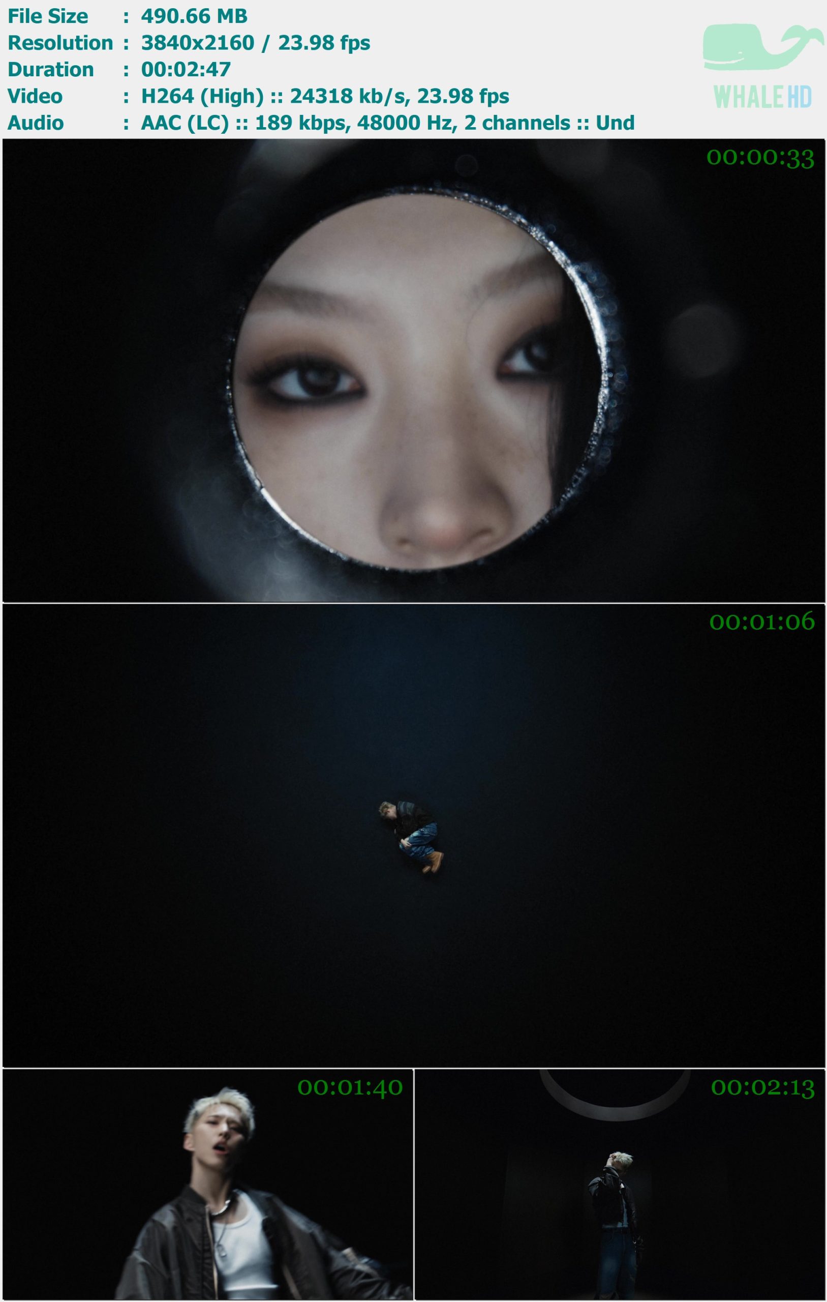 HOSHI - FALLEN SUPERSTAR 2025 WEB-DL 2160p H264 - 490.66MB