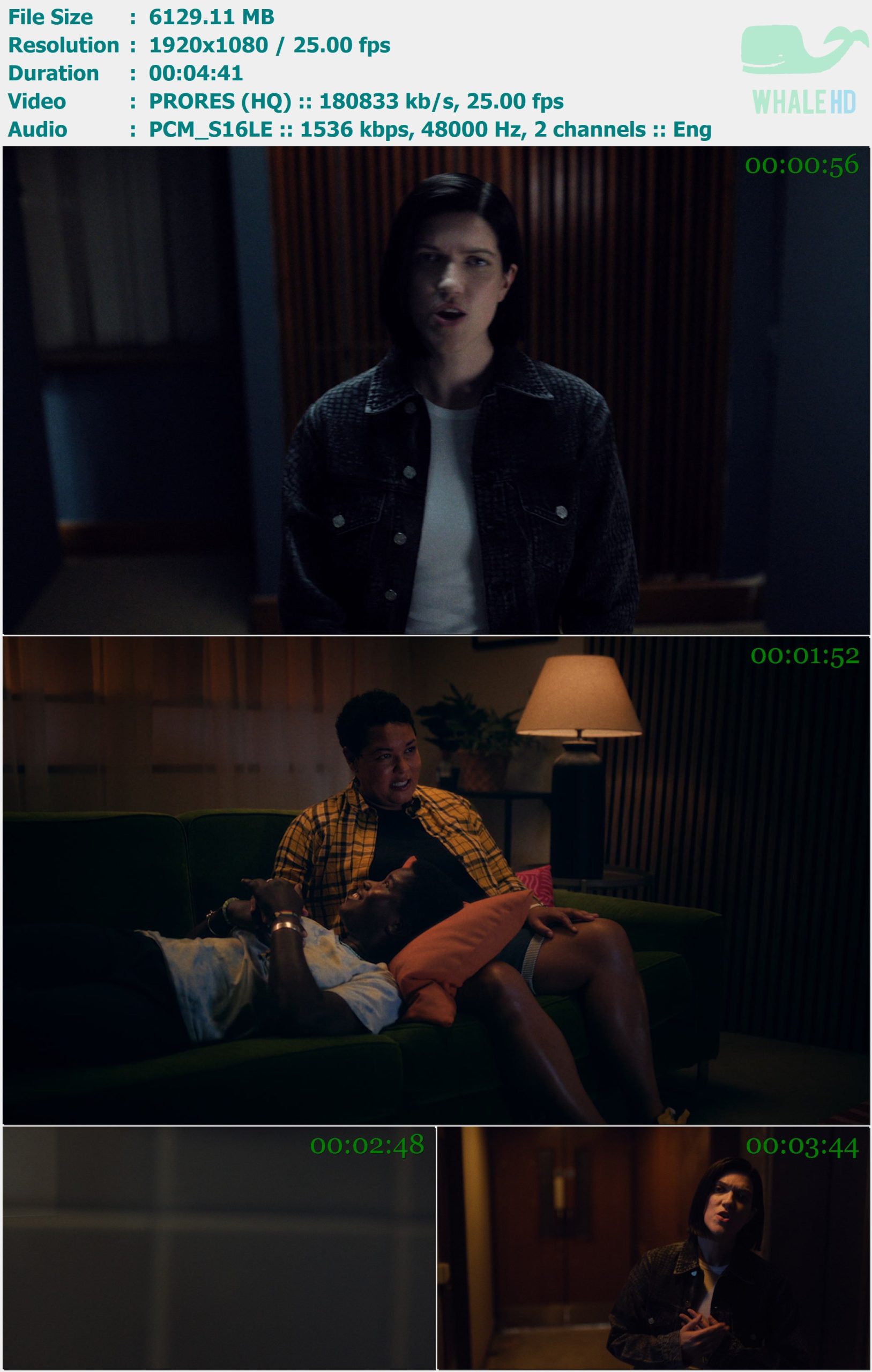 Romy - Love Who You Love 2025 Master 1080p ProRes - 5.99GB