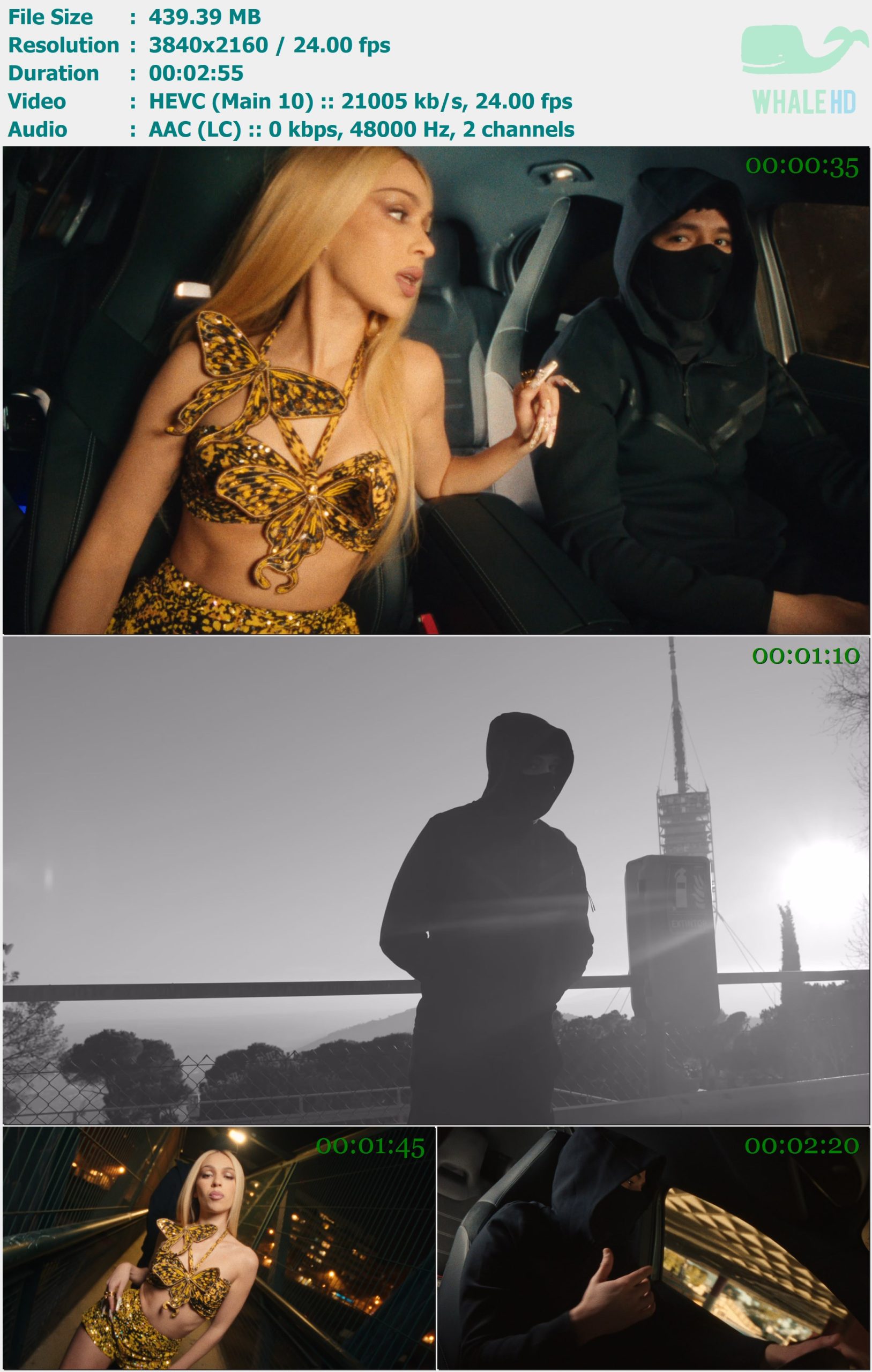 Bad Gyal & Beny Jr - Flow 2000 (Remix) 2022 AM 2160p H265 - 439.39MB