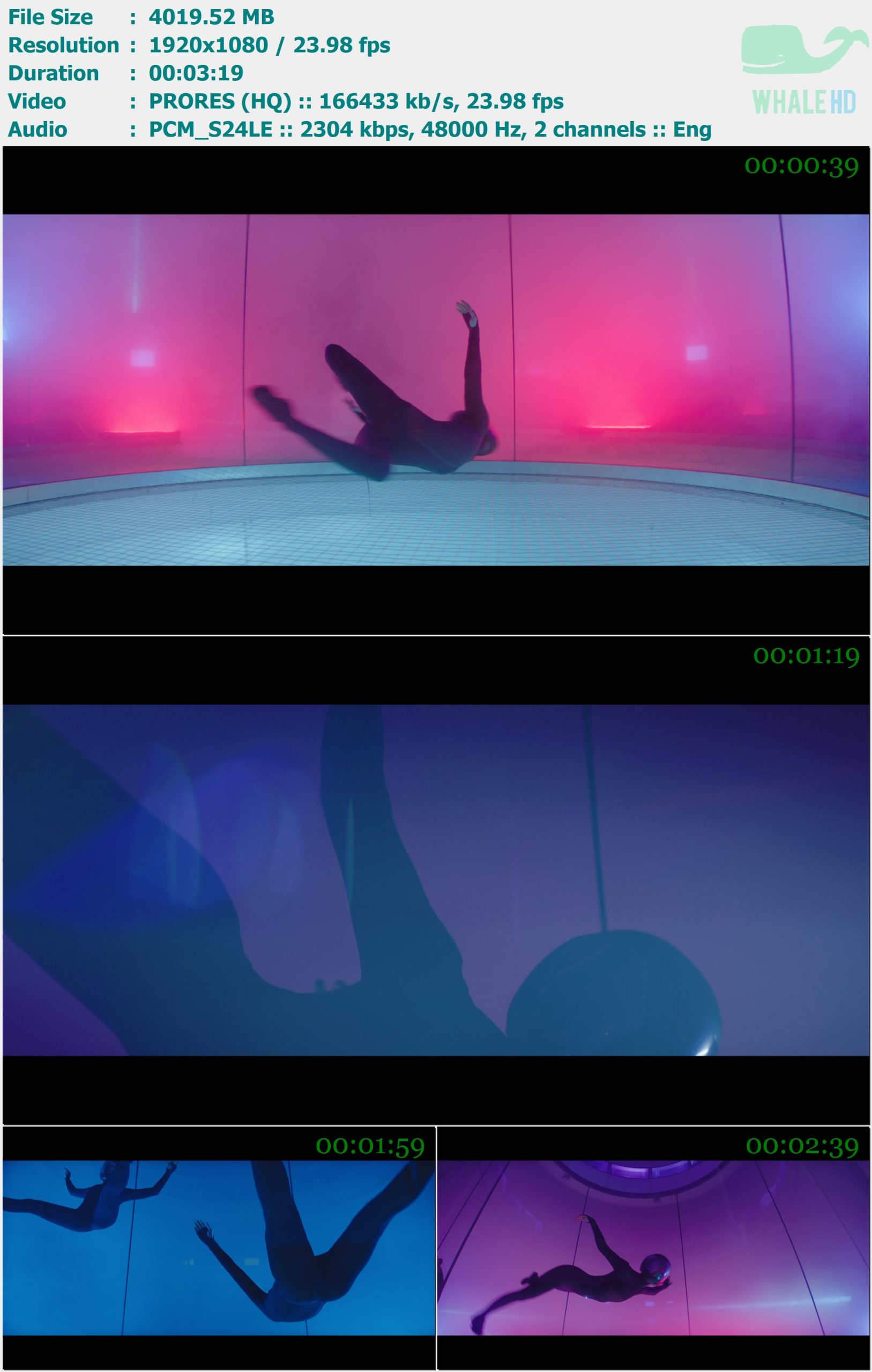 Stargate feat. Sia and P!nk - Waterfall (Director's Cut) 2017 Master 1080p ProRes - 3.93GB