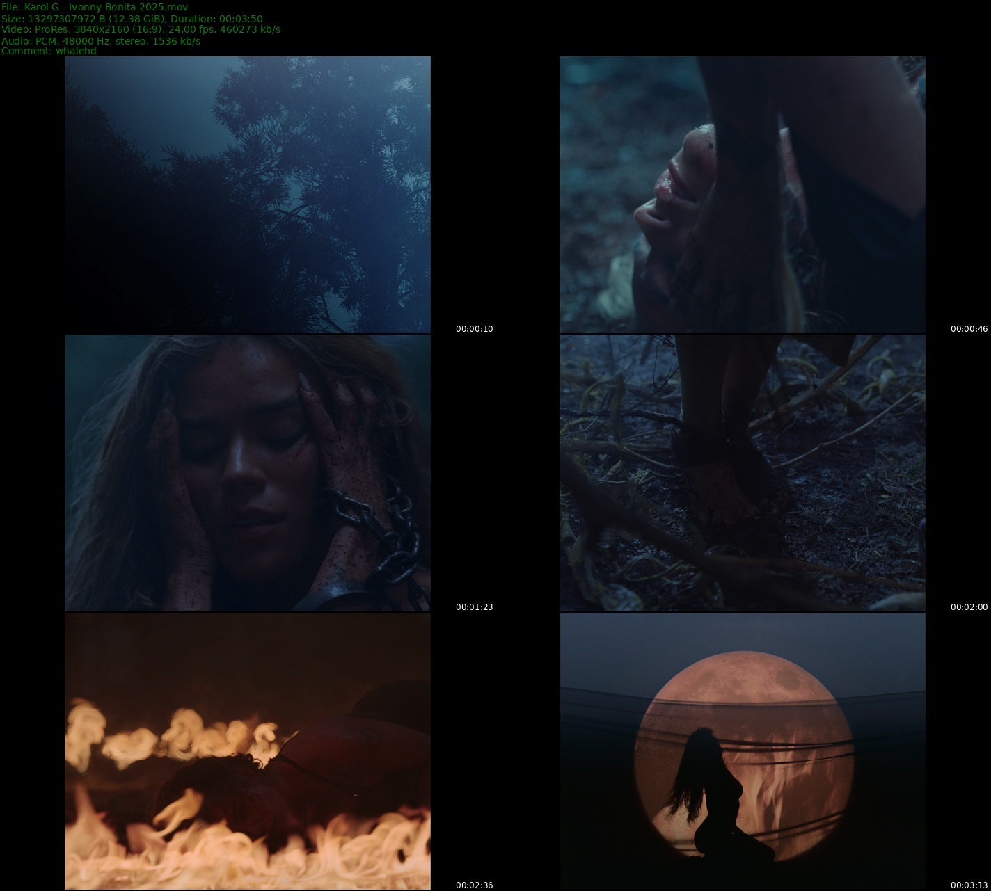 Karol G - Ivonny Bonita 2025 Master 2160p ProRes - 37.31GB