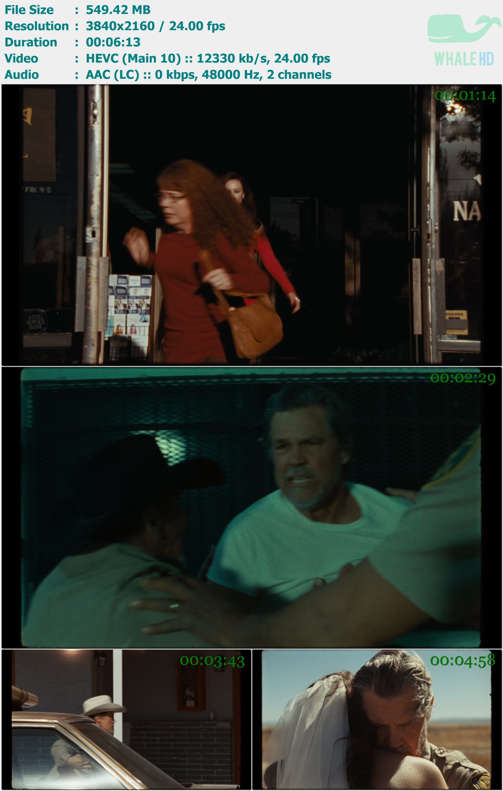 Chris Stapleton - White Horse 2025 AM 2160p H265 - 549.42MB