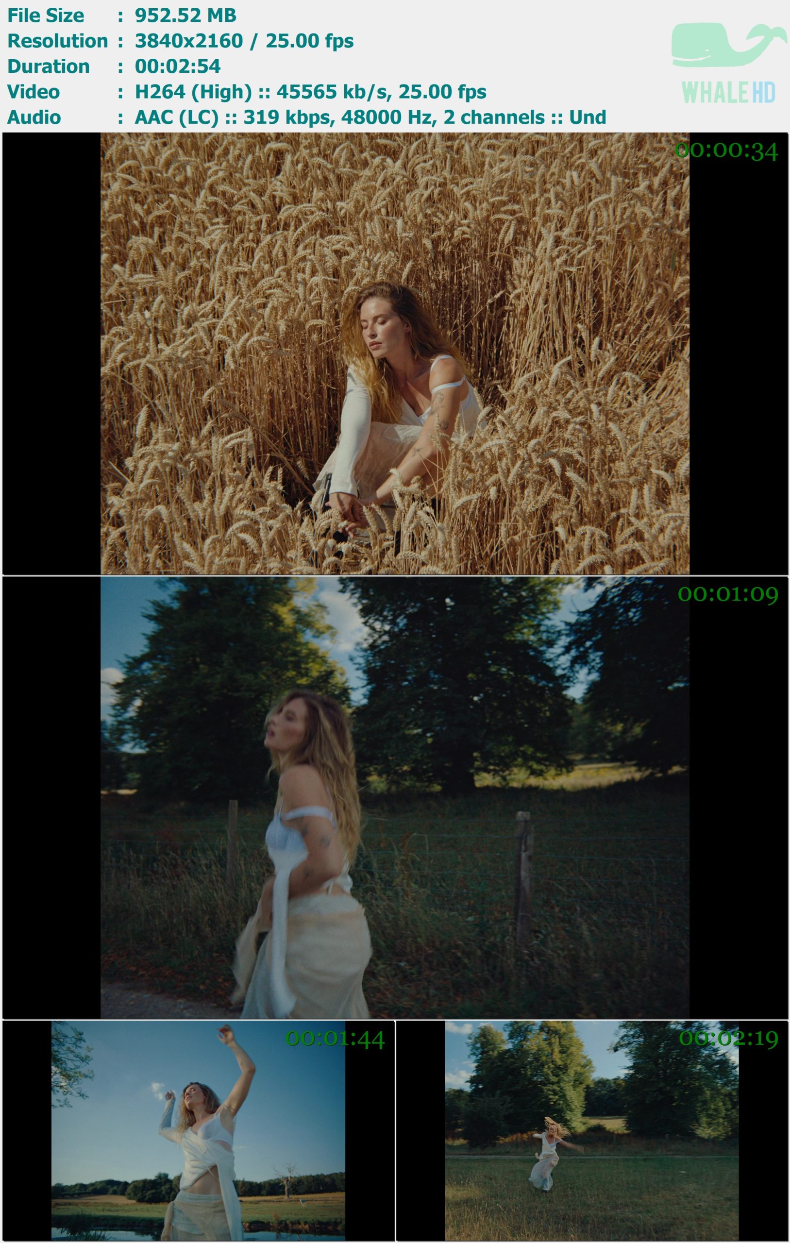 FLETCHER - Hi, Everyone Leave Please 2025 MasterRip 2160p H264 - 952.52MB