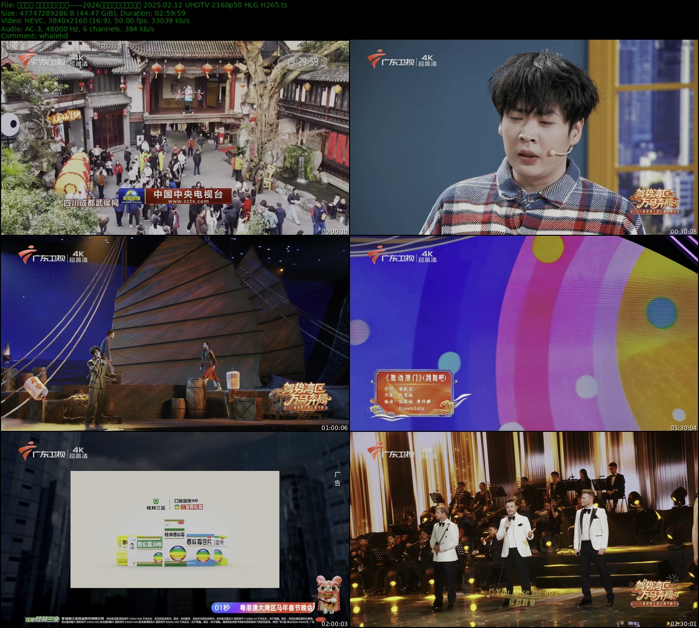 广东卫视 驾势湾区万马奔腾——2026粤港澳大湾区春节晚会 2026.02.15 UHDTV 2160p50 HLG H265 - 44.47GB