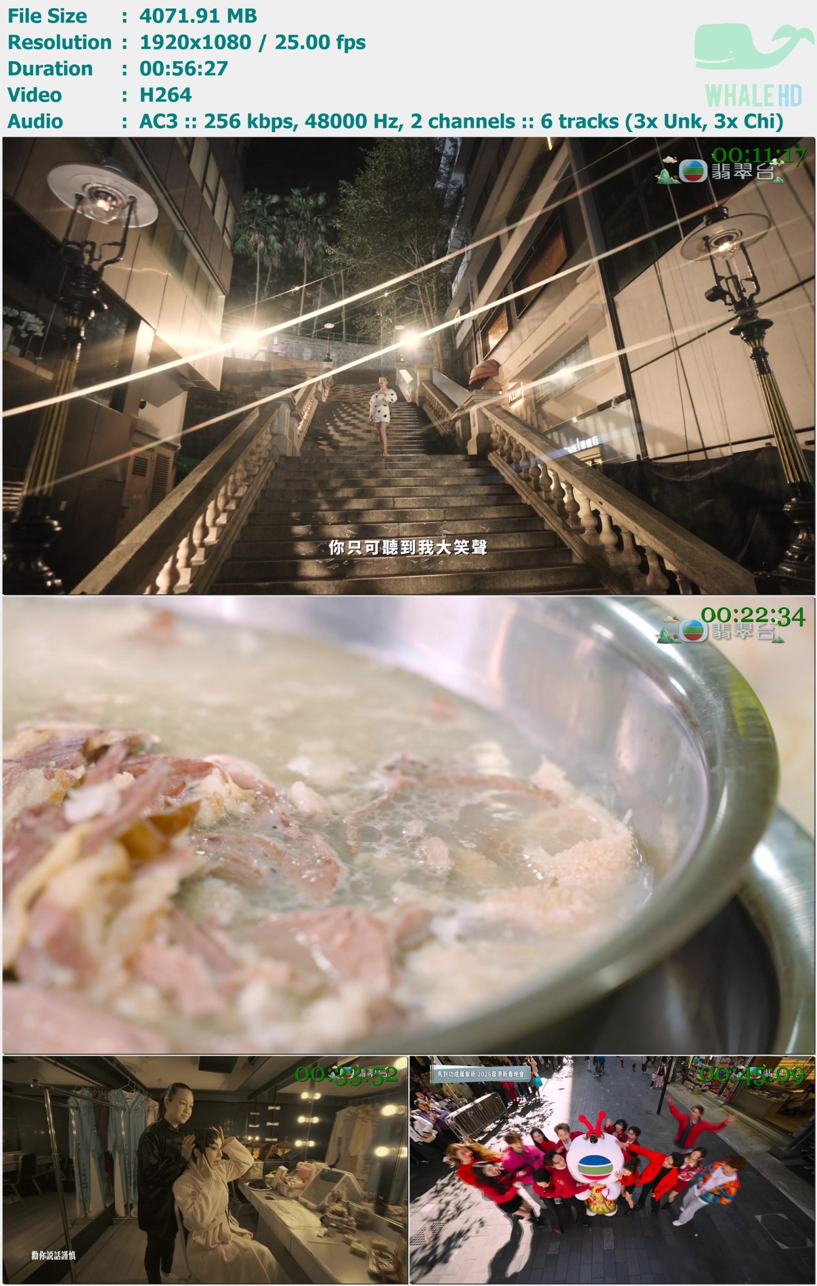 翡翠台 马到功成万象新 2026蓉港新春晚会 2026.02.15 HDTV 1080i H264 - 3.98GB