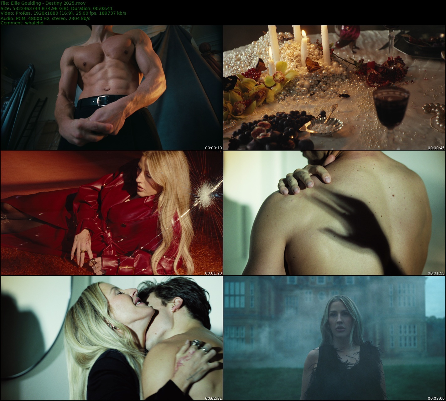 Ellie Goulding - Destiny 2025 Master 1080p ProRes - 4.96GB