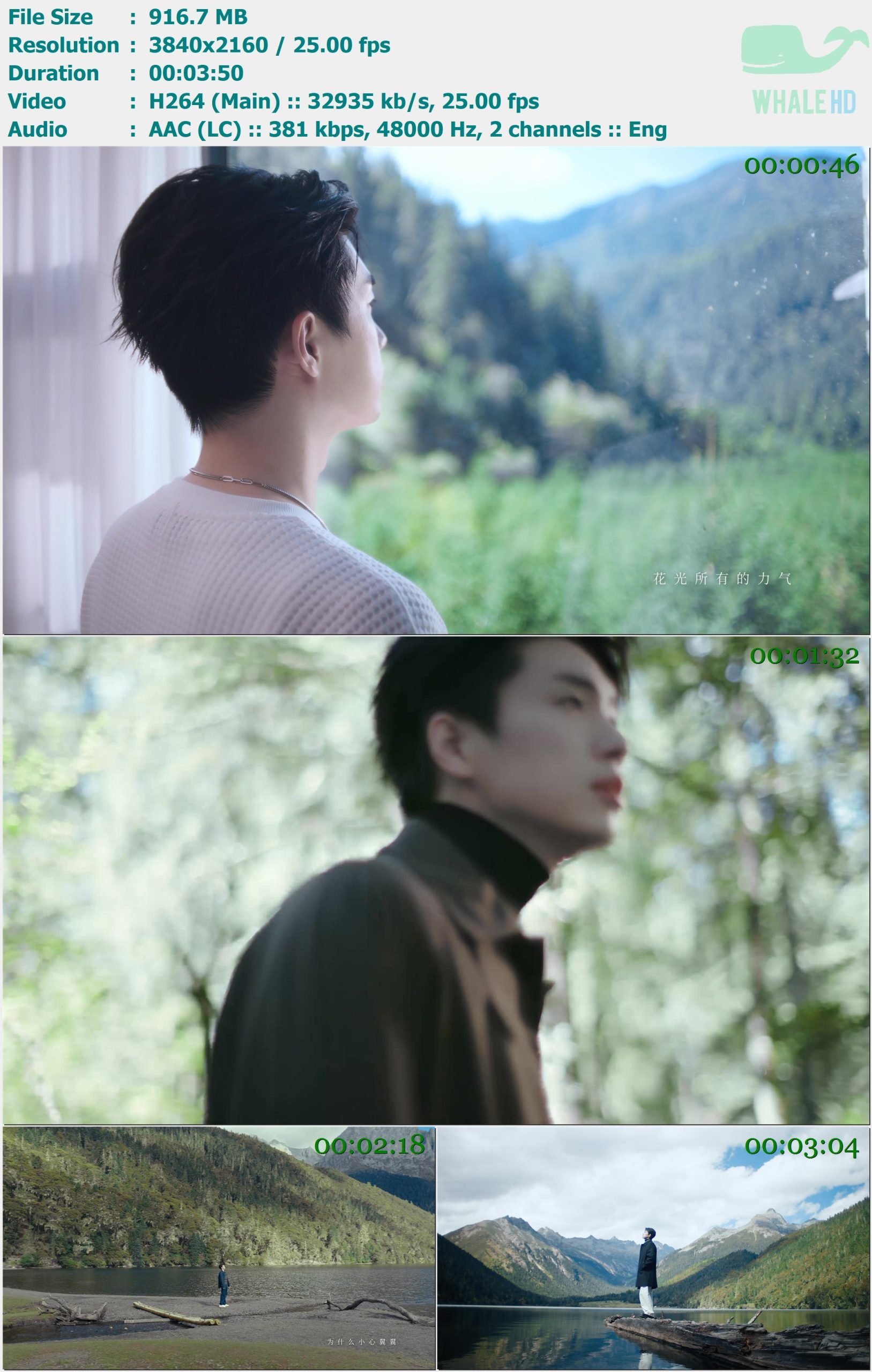 曹杨 - 当世界将我遗忘 2025 MasterRip 2160p H264 - 916.70MB