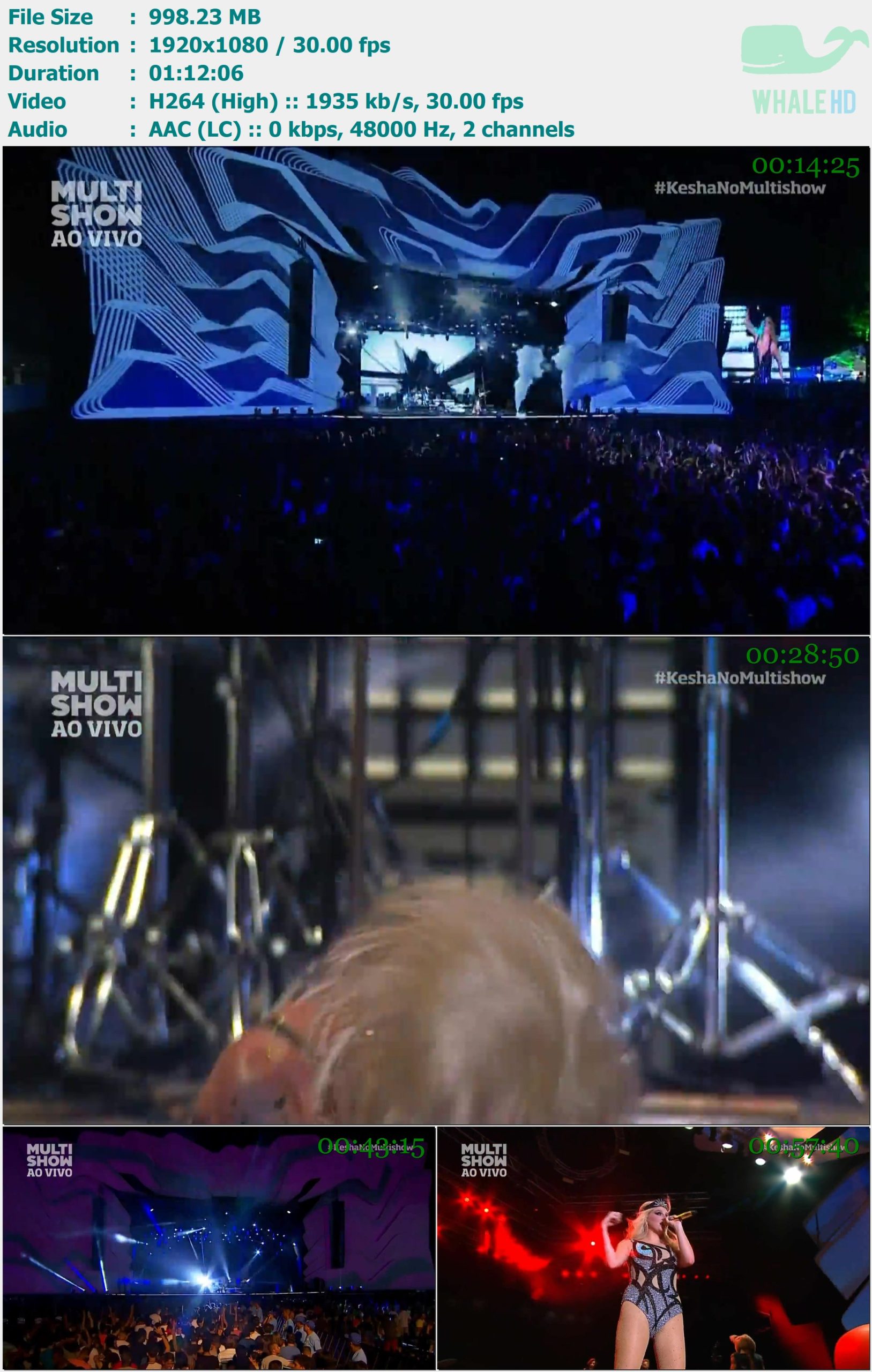 Kesha - Live at Festival de Verao de Salvador (Brazil) 2015 HDTV 1080p H264 - 998.23MB